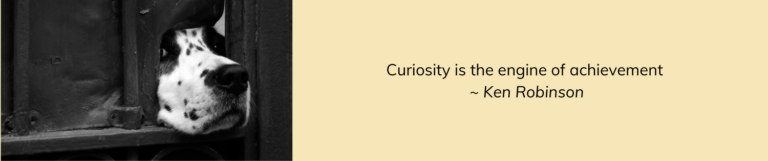 Midlife crisis. Purpose, meaning, transition. Midlife Crossroads Academy