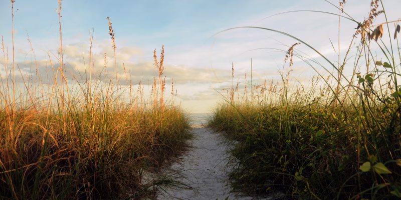 Midlife crisis. Purpose, meaning, transition. Midlife Crossroads Academy