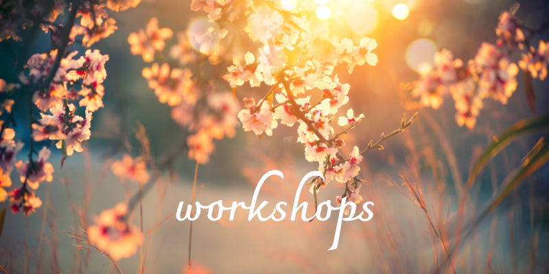 Midlife crisis. Purpose, meaning, transition. Midlife Crossroads Academy. Midlife personal growth courses and coaching