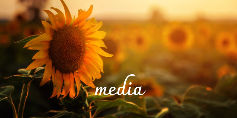 Midlife crisis. Purpose, meaning, transition. Midlife Crossroads Academy. Midlife personal growth courses and coaching