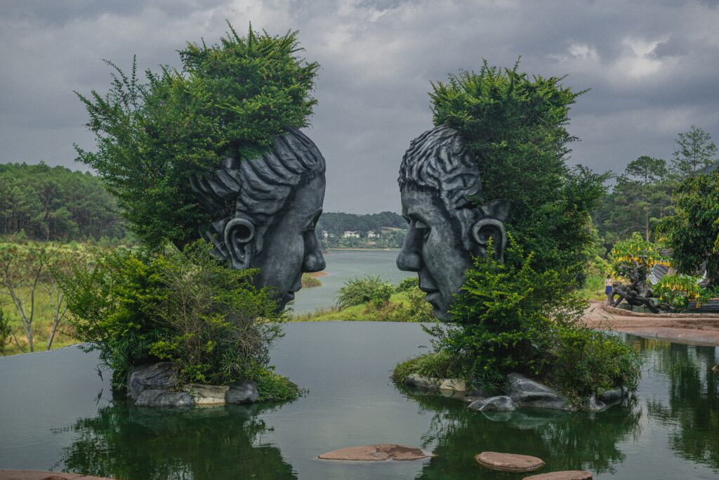 Blog. Midlife coach. Life coach. Midlife Crossroads Academy. Fluid intelligence. Chrystallised intelligence. Brains. Quick. Smart. Brainpower.