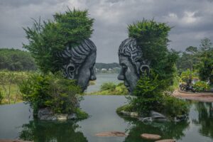 Blog. Midlife coach. Life coach. Midlife Crossroads Academy. Fluid intelligence. Chrystallised intelligence. Brains. Quick. Smart. Brainpower.